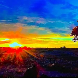 Meet your Posher, Sky